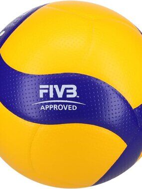 Mikasa V200W Professional Volleyball Ball Size 5
